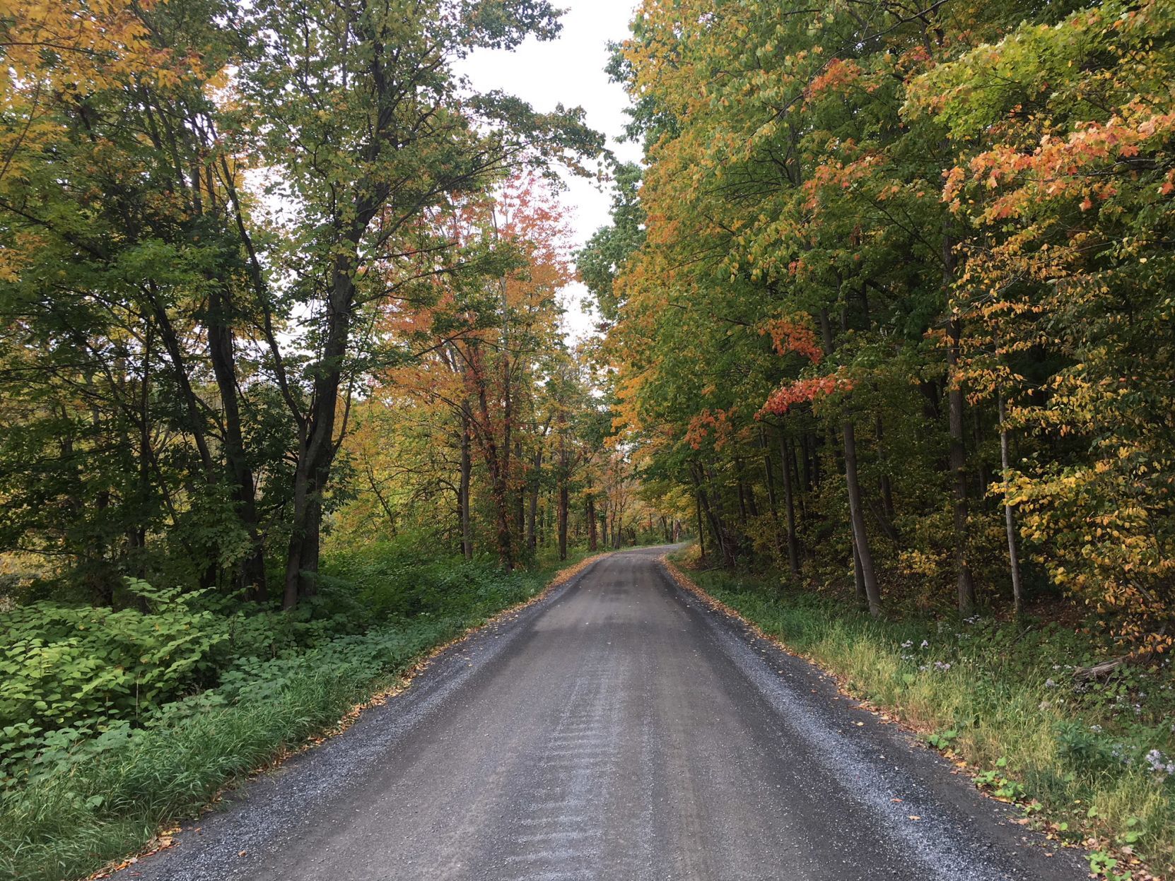 Coach Road